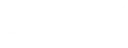 AKTIV